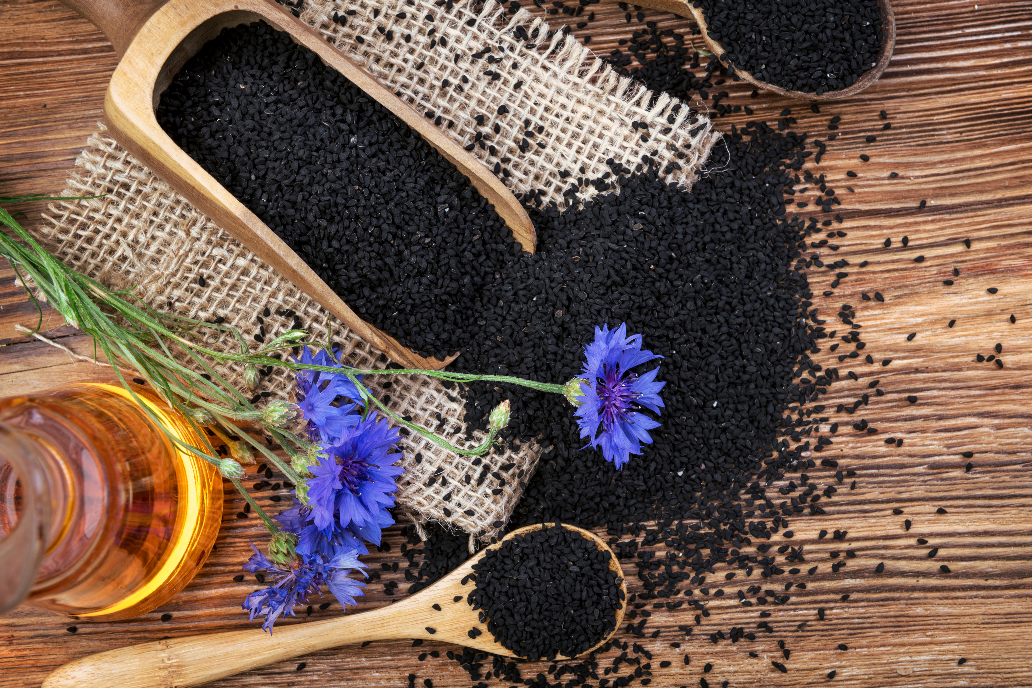 Nigella sativa background