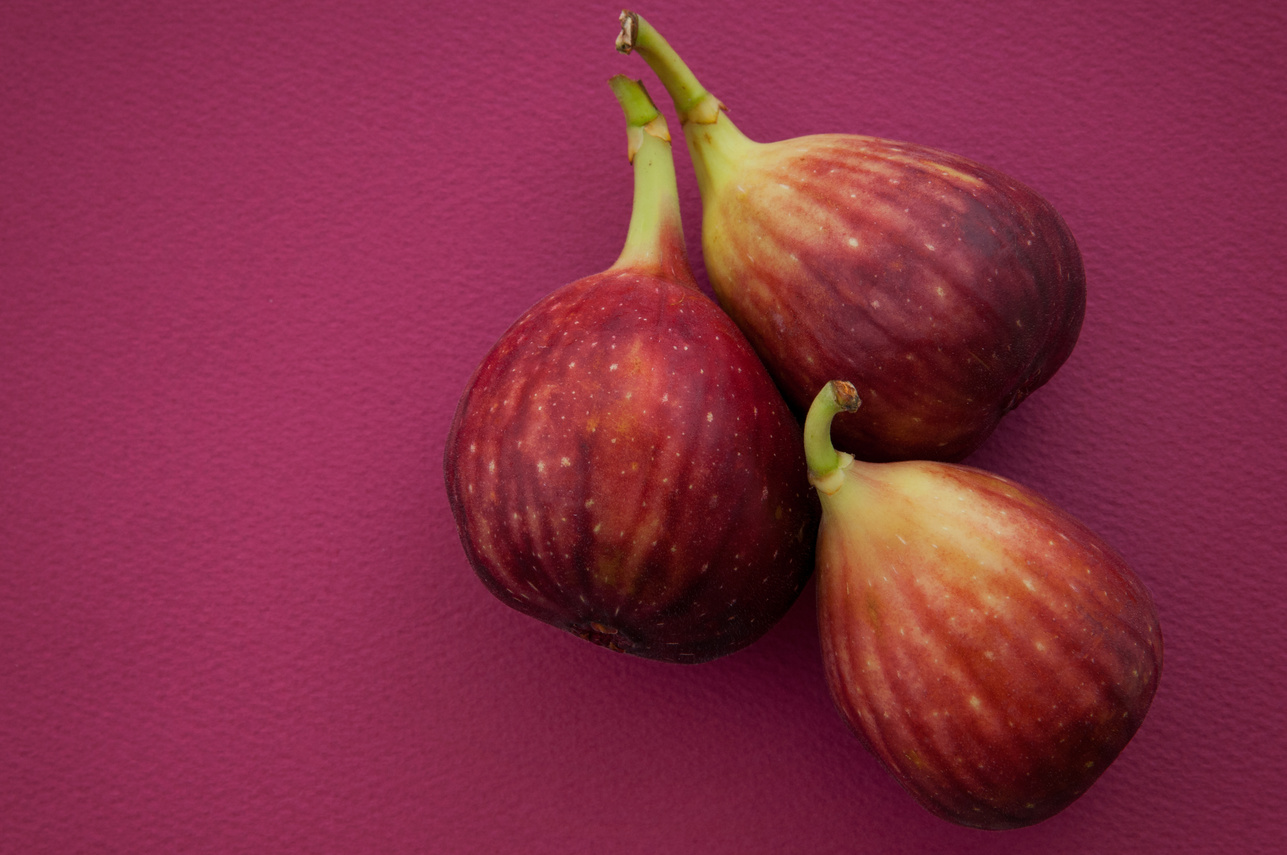 fig