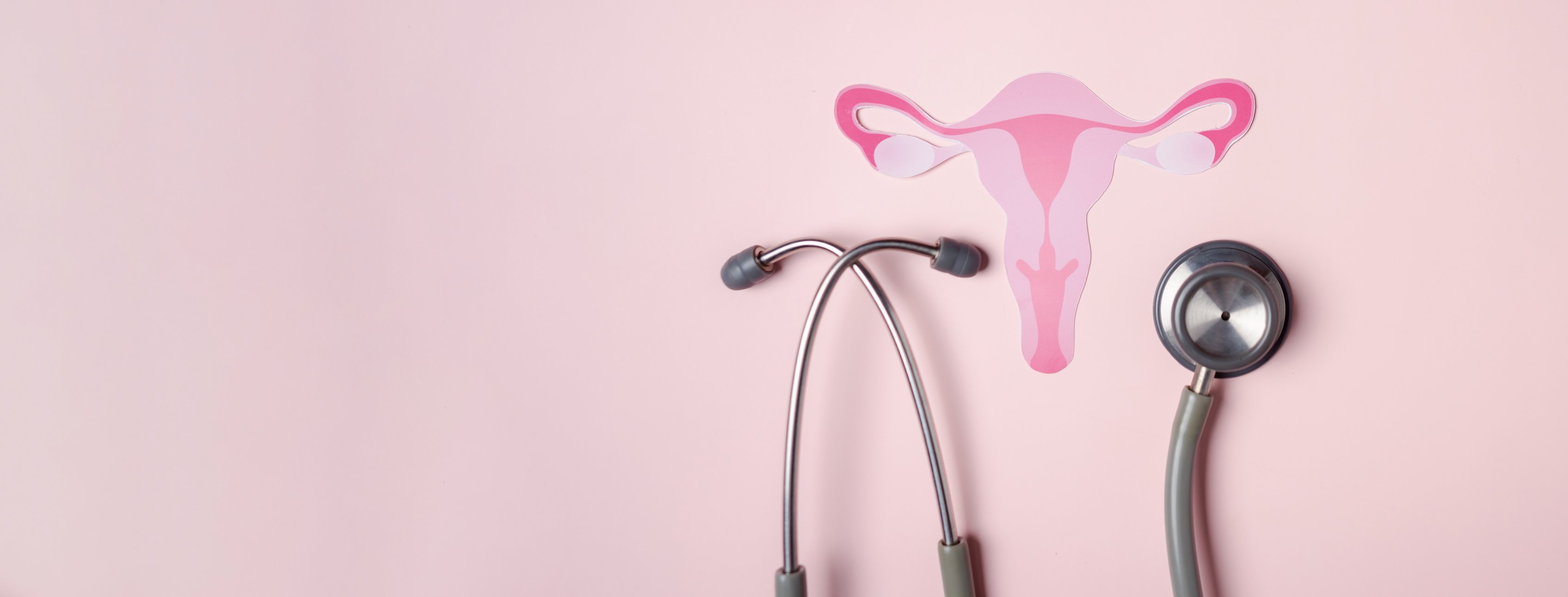 Checkup uterus, female reproductive system, women's health, PCOS