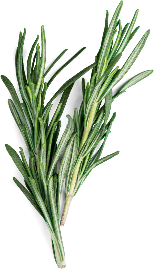 Rosemary.