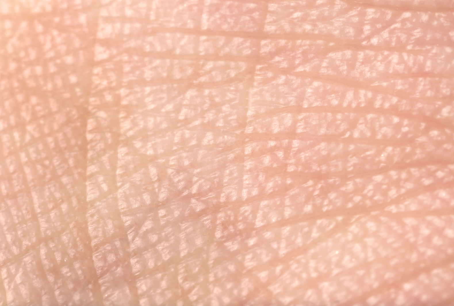 Texture of Human Skin, Closeup